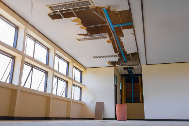 Best Sewage cleanup and water damage restoration  in Cuba City, WI
