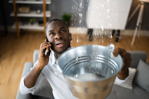 Best Carpet water damage restoration  in Cuba City, WI