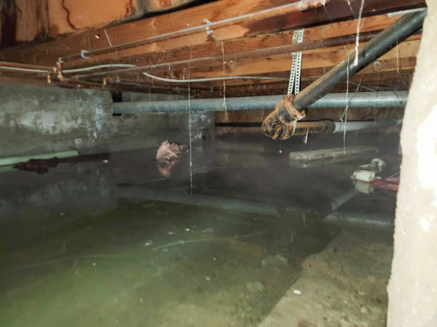 Best Water damage restoration near me  in Cuba City, WI