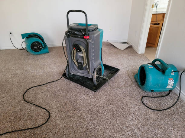 Best Water damage cleanup near me  in Cuba City, WI