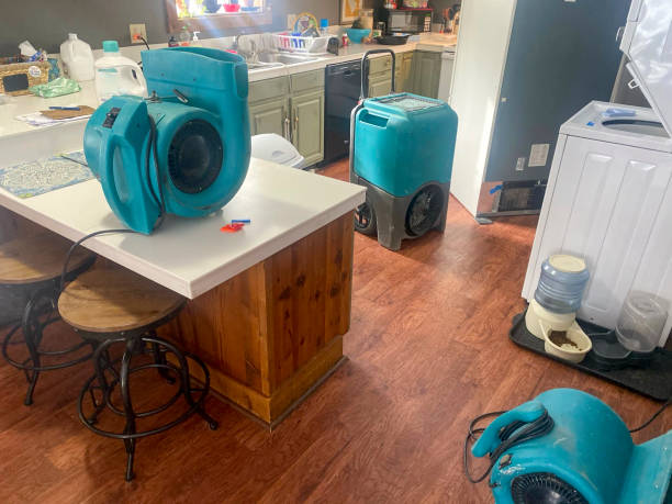Best Residential water damage restoration  in Cuba City, WI