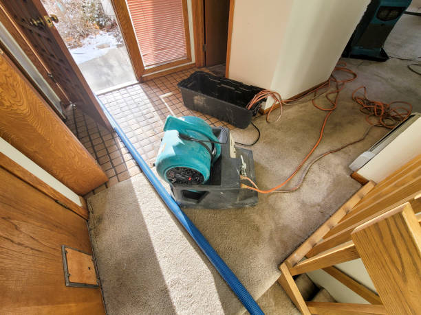 Best Water damage restoration process  in Cuba City, WI