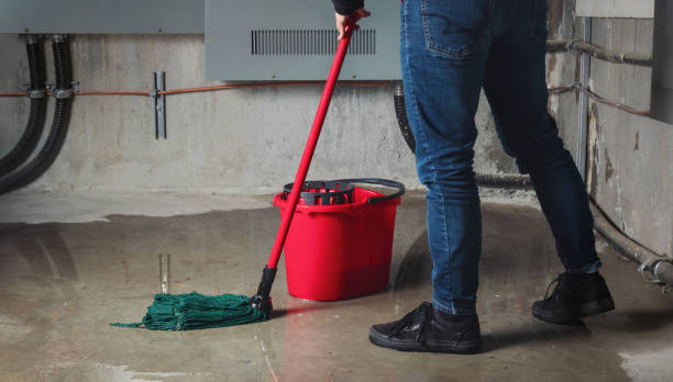 Carpet water damage restoration in WI