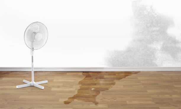 Best Water damage restoration company  in Cuba City, WI
