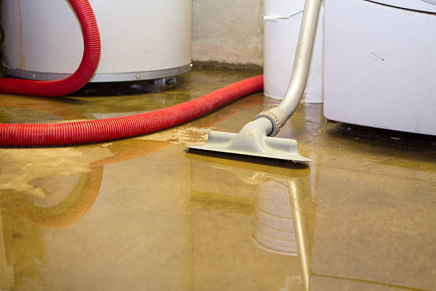  Cuba City, WI Water damage restoration Pros