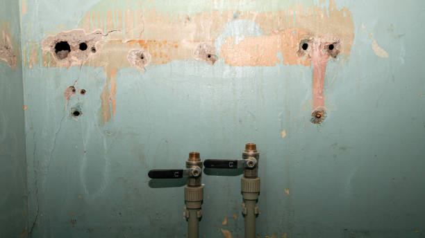 Best 24-hour water damage restoration  in Cuba City, WI