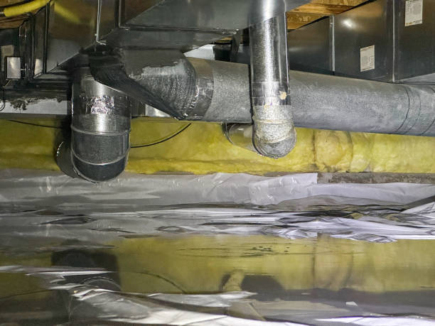 Best Water damage contractors near me  in Cuba City, WI