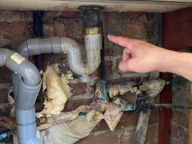 Best Water damage restoration mold remediation  in Cuba City, WI