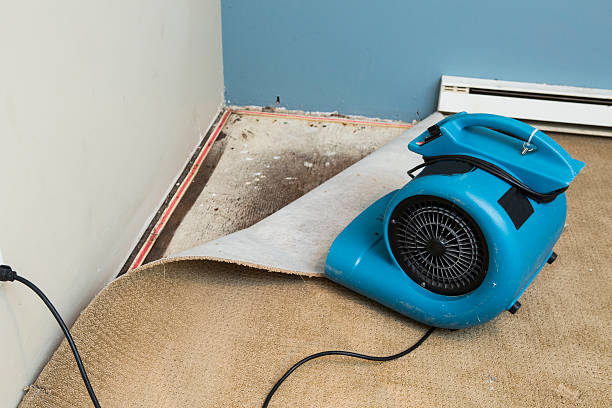Water damage restoration process in WI